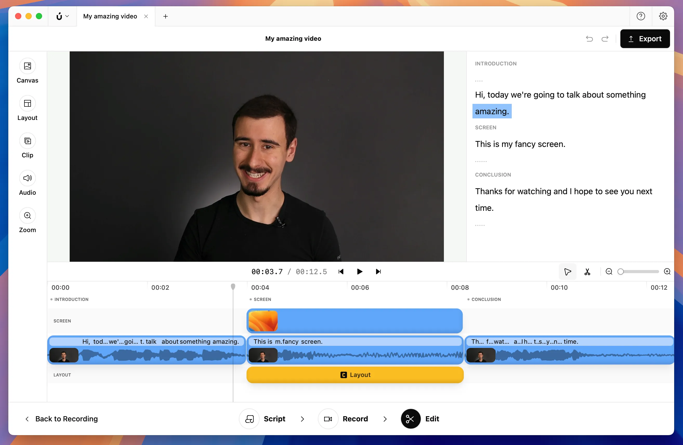Borumi Editor with camera full screen